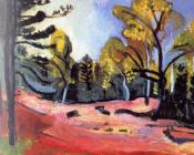 亨利 马蒂斯 : 枫丹白露小树林的空地